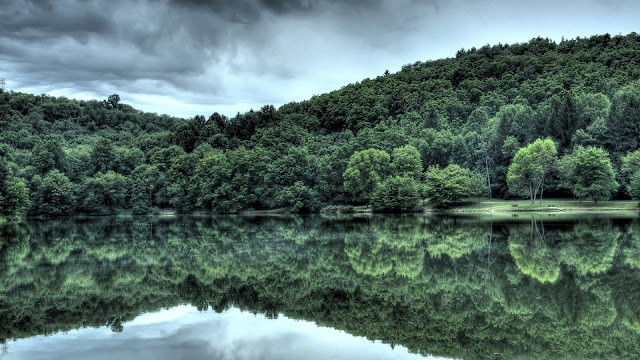 sky,trees on mountain