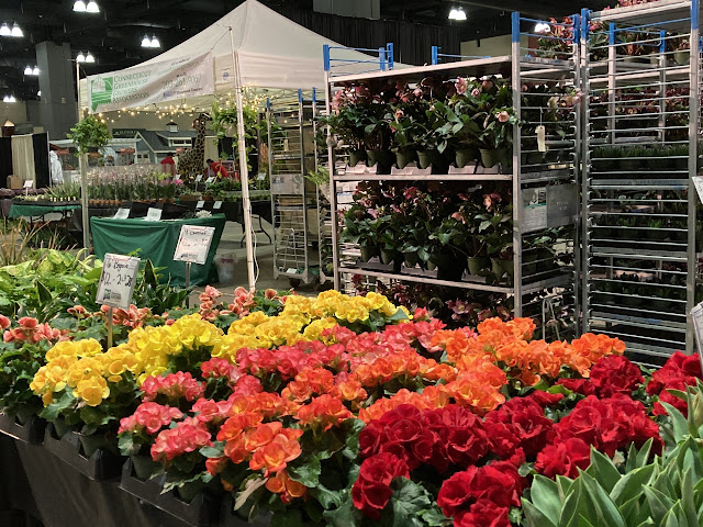 CT Flower Garden Show at the Hartford Convention Center 2023