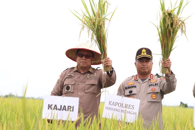 Kapolres Sergai Dampingi Wamentan RI Panen Padi bersama di Desa Gempolan