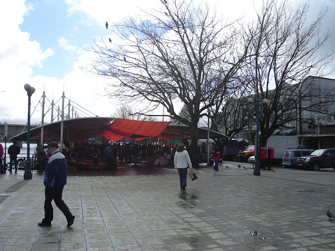 Vista Feria Fluvial