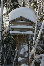 Birdhouse3