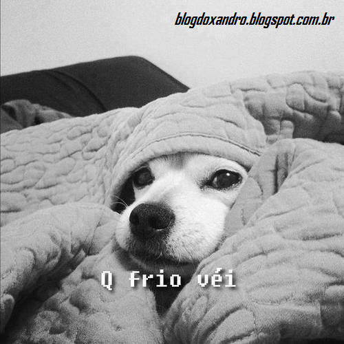 frio.png (500×500)