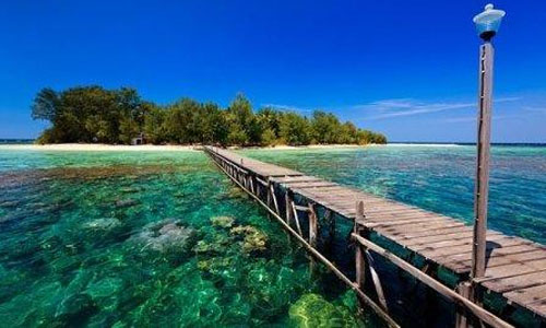 karimunjawa trip dimana jepara tengah letaknya 2017 daerah mana map di paket adalah hotel peta wisata murah pantai resort ada airport agustus atau lombok alamat apa bali ayu artikel akses wisma apung tour and travel susi air about berada biaya beach backpacker bikini blog bahasa inggris berenang dengan hiu budget bandara best indonesia bulan desember adventure boat bandung cara cuaca jawa.com cottage cerita buruk catatan perjalanan couple cumilebay coral reefs camping climate cirebon cruise cepat booking 