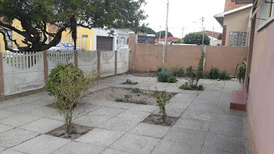 paved front garden leading to house