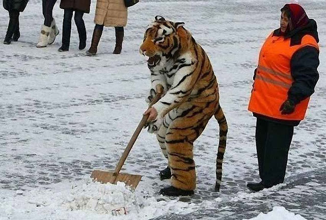 Mientras tanto en Rusia - meanwhile in russia