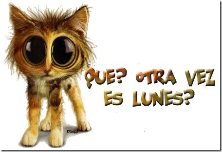lunes otra vez.gatito