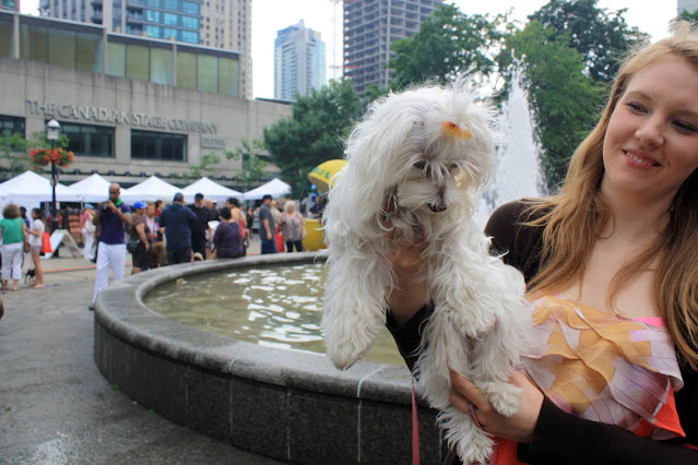 Woofstock Toronto 2012 in Photos by Omar Cherif, One Lucky Soul