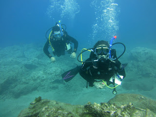 Diving in Tenerife