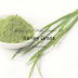 There Are Many Benefits To Barley Grass