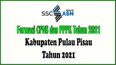 RINCIAN PENETAPAN KEBUTUHAN APARATUR SIPIL NEGERA DI LINGKUNGAN PEMERINTAH KABUPATEN PULAU PISAU TAHUN ANGGARAN 2021