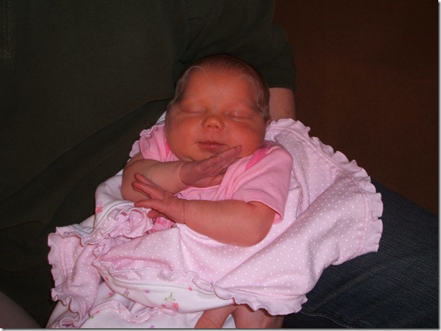 Lily 016