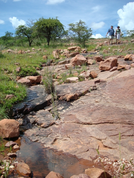 Dinosaur Footprints at Mount Etjo, Namibia