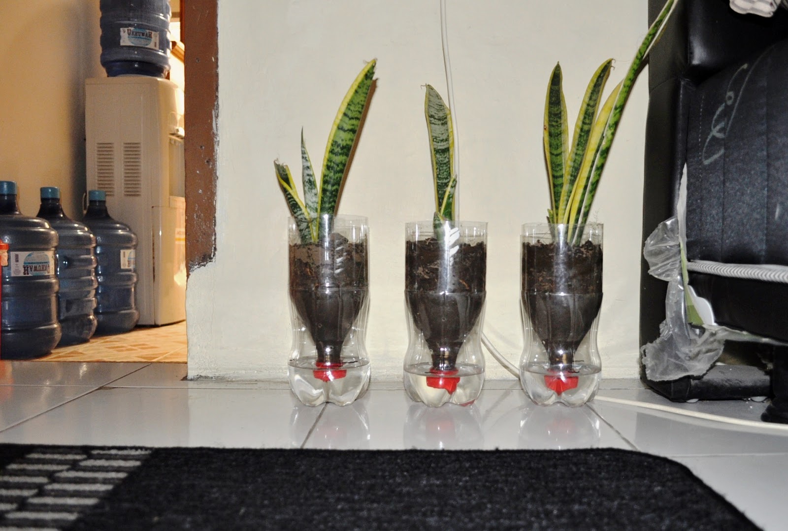 POT TANAMAN  DARI BOTOL  BEKAS  GO GREEN teknokratblogger