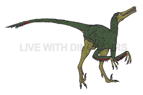 buitreraptor dinosaur live