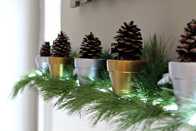 glitter pinecones with painted flower pots - Turtles and Tails blog