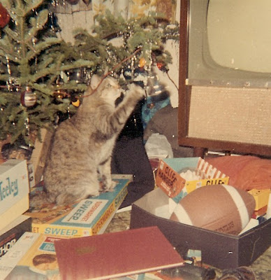  and where cats always played with lowhanging ornaments