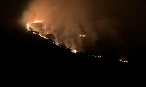 Η φωτιά είχε ξεσπάσει το απόγευμα και κατά την διάρκεια της νύχτας σημειώθηκαν μεγάλες αναζωπυρώσεις από τις οποίες απειλήθηκαν σπίτια στο Δρυόφυτο.