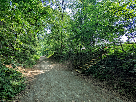 The Ayot Greenway through Sherrardspark Wood
