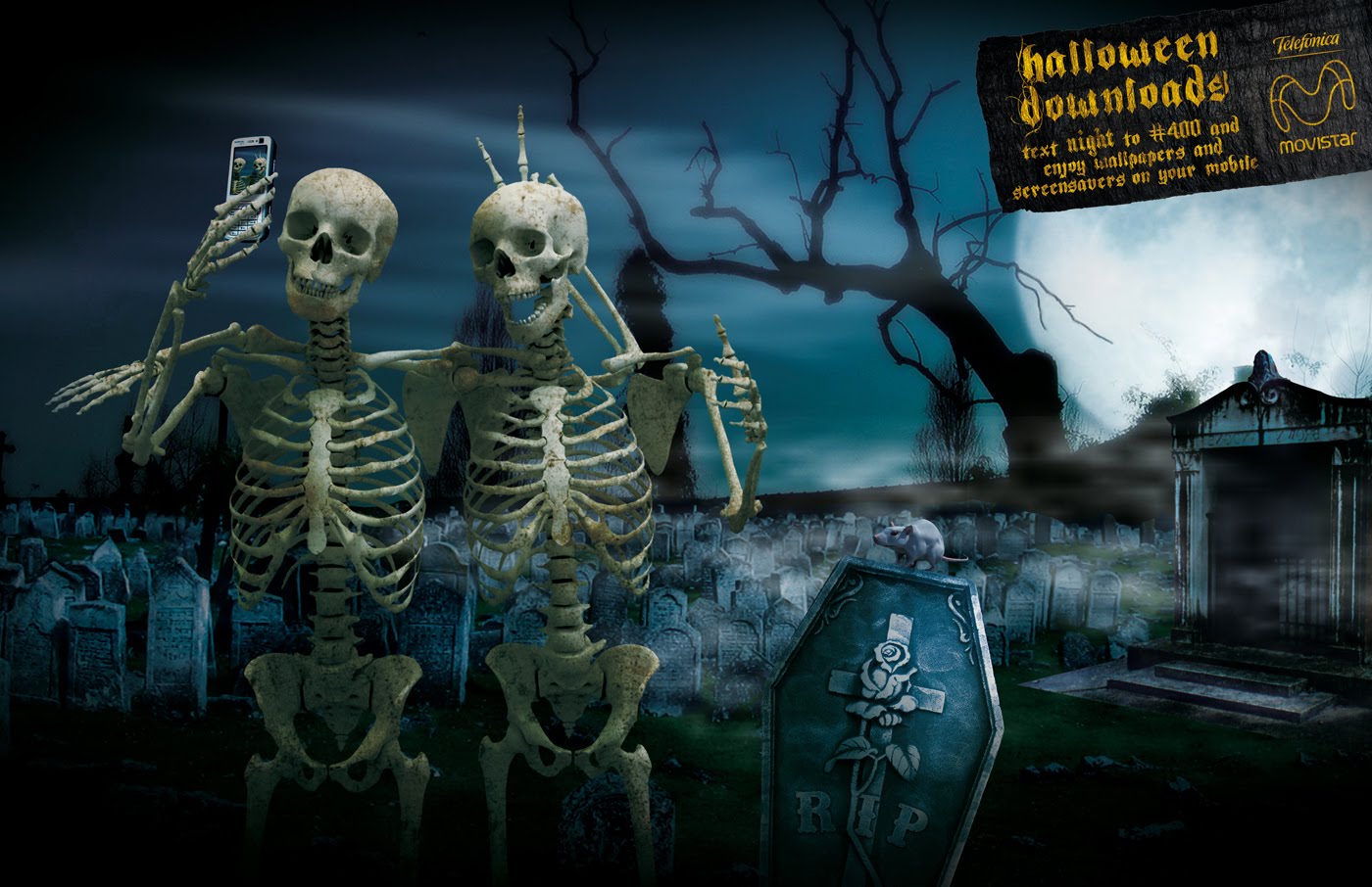 https://blogger.googleusercontent.com/img/b/R29vZ2xl/AVvXsEiCm1iZyKk7ho53DxZvXSBLTzU4NNSxd46iENDQ4Z52DHhzgUJPvAGJZ9fLaSIDqEJVhCmmy30uG4S4hh5GRWT40iZ9Yo1e9GV6ps9adyWmsJyBrABqKScF6htAv_q9ps7w1gEsQ-3cxyc/s1600/Halloween-Dancing-Skeleton-Festive-Invitation.jpg