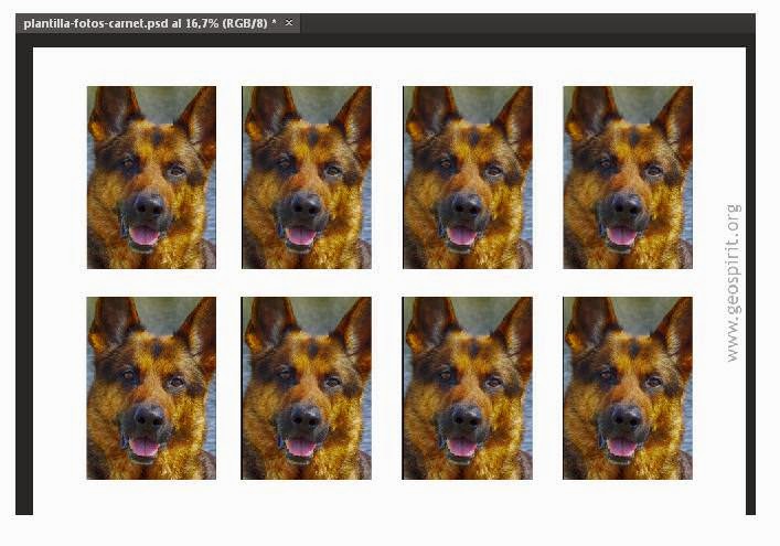 Haz tus propias fotos de carnet en menos de 3 minutos