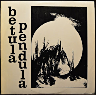 Betula Pendula ‎ “Betula Pendula” 1990  Czechoslovakia Electronic,Minimal Synth,Avant Garde