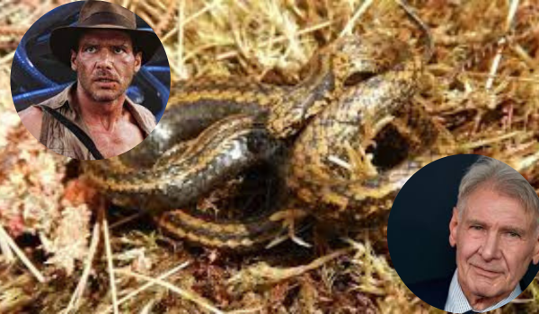 Top 10 Unusual Exotic Animals Named After Famous People