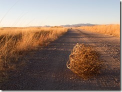 tumbleweed3