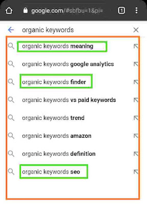 Organic Keywords example