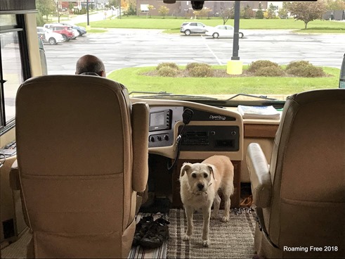 Ready to hit the road