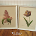 Face Lift for Botanical Prints