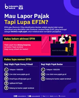 Mau Lapor Pajak, Tapi Lupa EFIN?