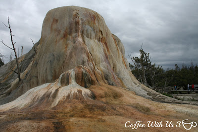 Tips for Visiting Yellowstone by Coffee With Us 3 #vacation