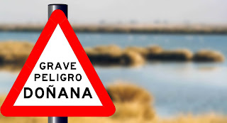 El Parque de Doñana en grave peligro por la inacción del Gobierno