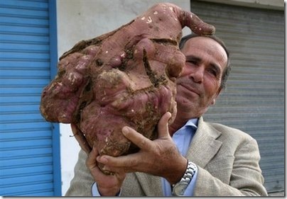 Would you eat it