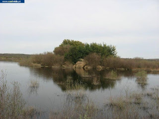 Albufeira, Barragem de Póvoa e Meadas de Castelo de Vide, Portugal (Fish)