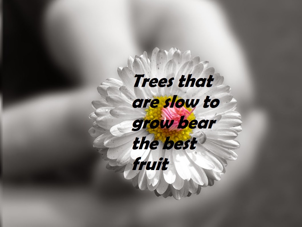 Fruit Quote Short Motivational Quote Hope Quote Trees Earth Best Inspirational Quote Black & White Background Flower Background