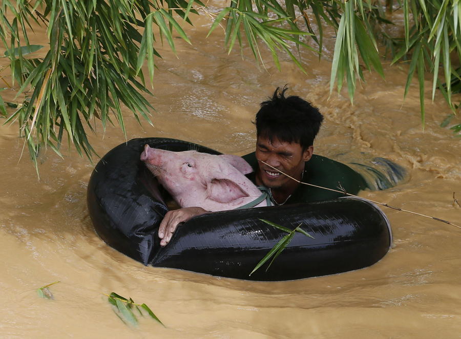 70 Of The Most Touching Photos Taken In 2015 - A man floats a pig to safety as Typhoon Koppu causes flooding in Sta Rosa, Philippines.