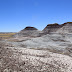 Summer at Petrified Forest National Park