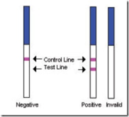 test ovulacion resultados posibles