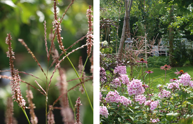 Skab en blomstrende sensommerhave