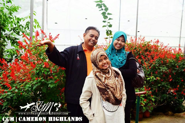 Cuti-Cuti Malaysia, Tempat Menarik Di Cameron Highlands, Butterfly Farm Di Cameron Highlands, Taman Rama-Rama Di Cameron Highlands, Tempat Makan Di Cameron Highlands, Makan Di Brinchang, Makan Sedap Di Cameron Highlands,