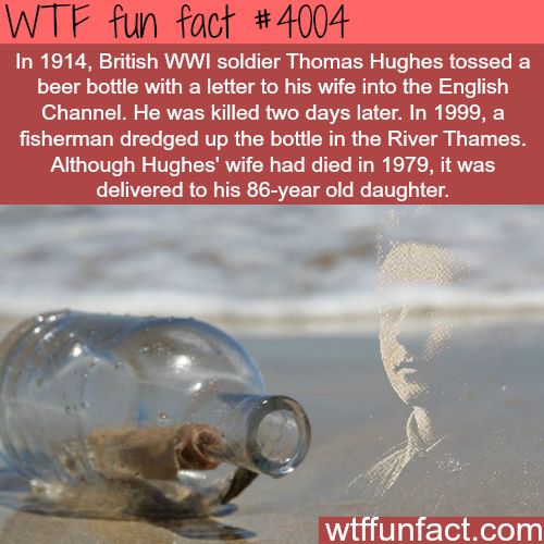 70 Mind Blowing Random Facts