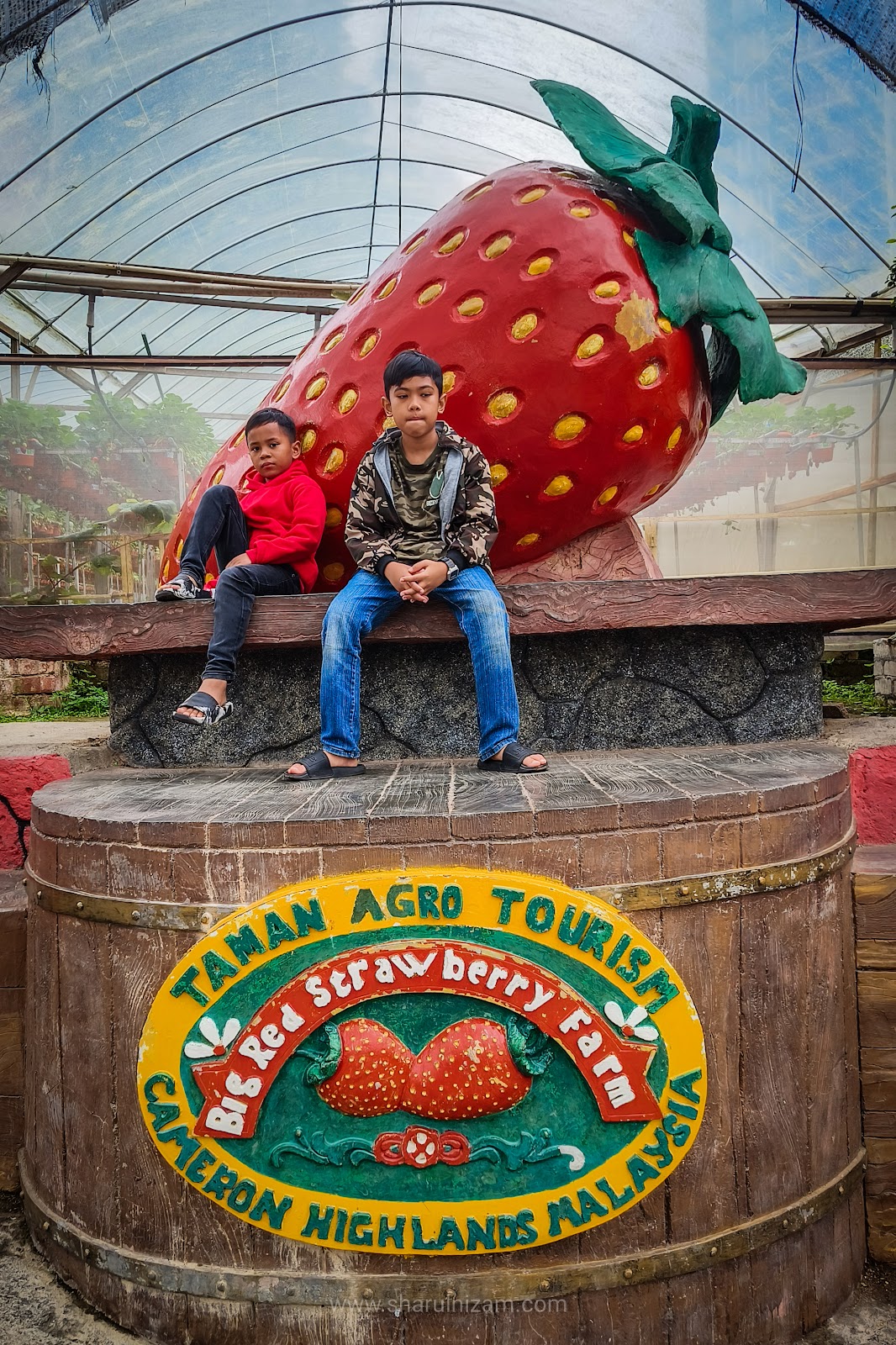 Big Red Strawberry Farm, Cameron Highlands