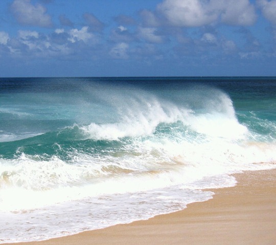 Oahu Beach_33580403