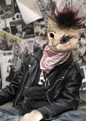 Animals punk Seen On www.coolpicturegallery.us