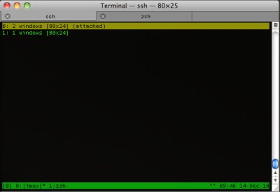 tmux session list