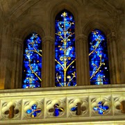 Tree of Life stained glass window from the Washington Cathedral