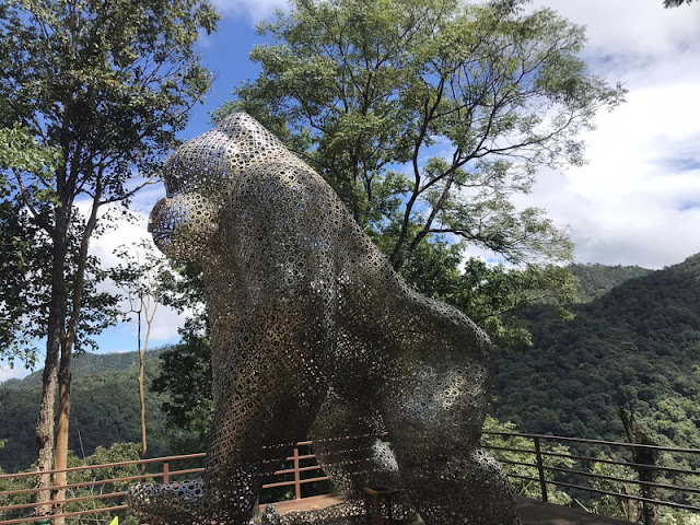 kingkong smile zipline, king kong smile zipline, kingkong smile zipline chiang mai, kingkong smile zipline chiangmai, kingkong zipline, kingkong zipline chiang mai, kingkong zipline chiangmai