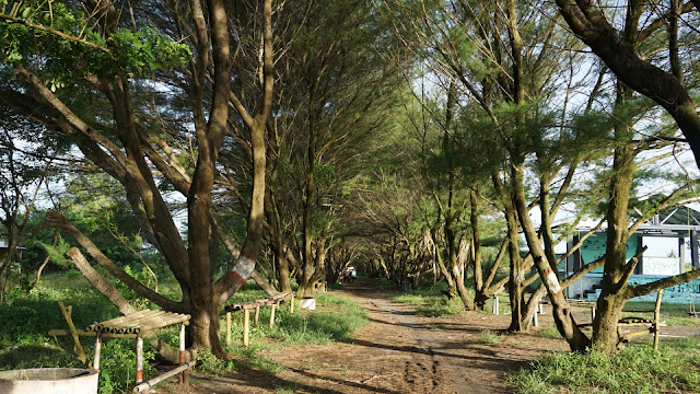 Pantai Pasir Puncu