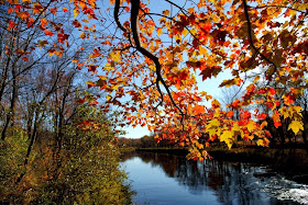 changing leaves along the banks of the tennessee river